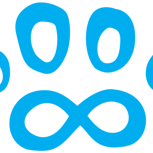 Team Page: Paws4ever Staff